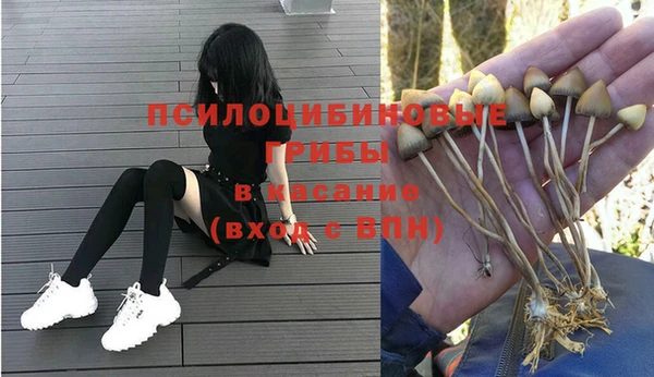 mdpv Баксан